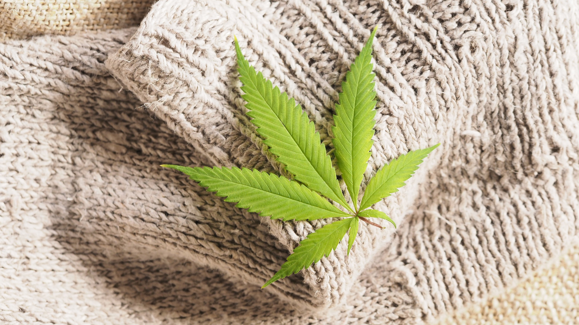 how strong is hemp?