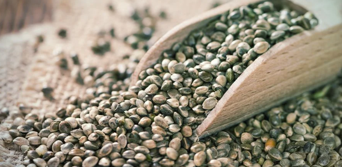 The Beginner's Guide to Shelling Hemp Seeds