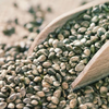 The Beginner's Guide to Shelling Hemp Seeds