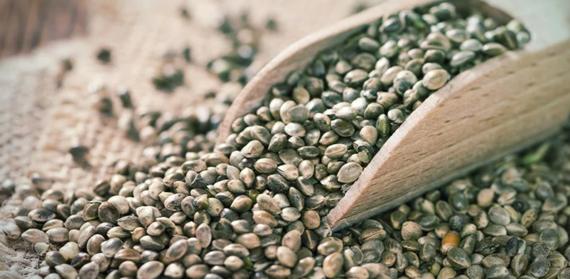 The Beginner's Guide to Shelling Hemp Seeds – Grayano