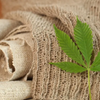 Top 10 Benefits of Using Hemp Fabrics for Clothing and Home Goods